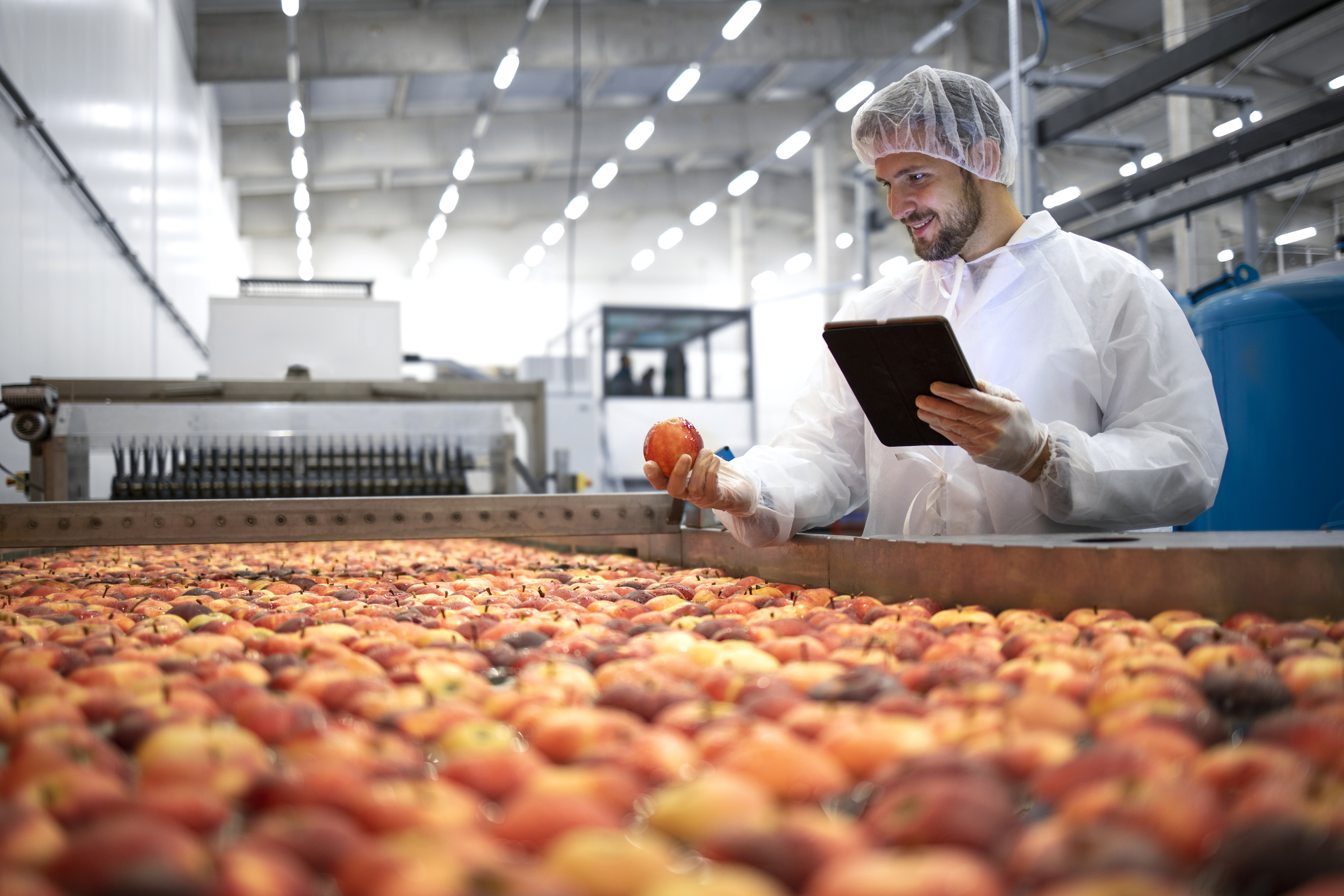 Food processing quality control