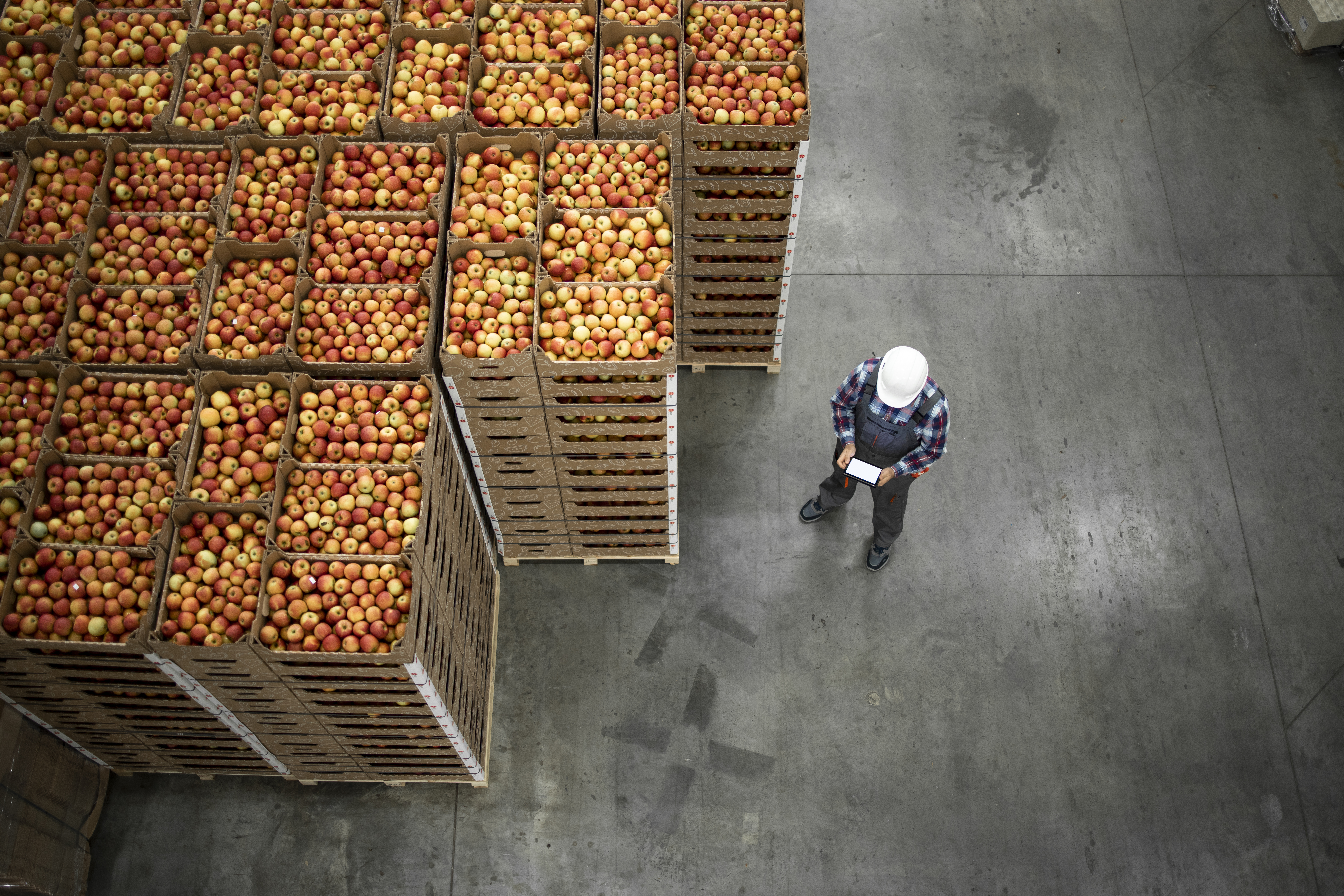 Food warehouse operations
